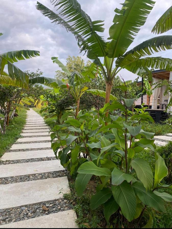Aqua Palm Resort Soechoemi Buitenkant foto